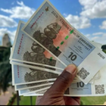 ZIMBABWE’S CURRENCY CRISIS THREATENS BUSINESS SURVIVAL